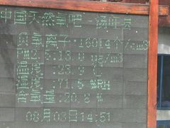 -汤旺河林海奇石景区