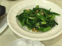 -金碧轩粤菜海鲜大酒楼