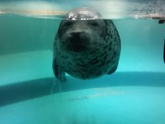 -嘉兴海底世界