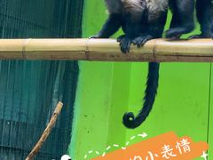 -北京野生动物园