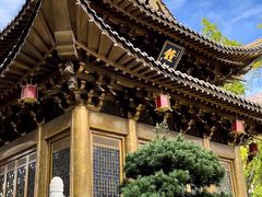 -上海东林寺(金山区)