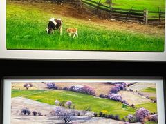 -罗红摄影艺术馆