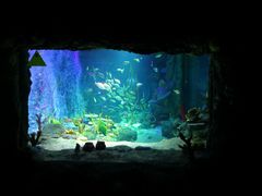 -沈阳海洋探索中心