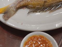 -长平肥姐白粥·海鲜打冷