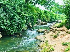 -羊山湖公园