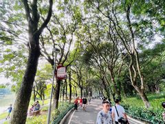 -东莞植物园