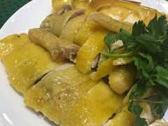 正宗湛江鸡-瑞记湛江鸡饭店·粤西第一鸡(粤垦店)