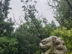-同里国家湿地公园