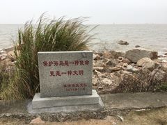 -野狸岛