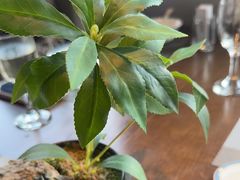 -百富源·海鲜辽菜(张士店)
