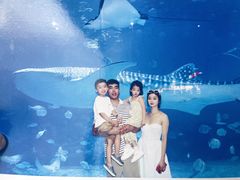 -烟台海昌鲸鲨海洋公园