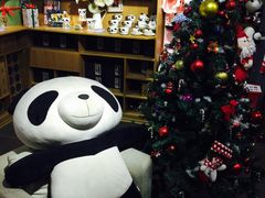 -熊猫屋(宽窄巷子景区店)