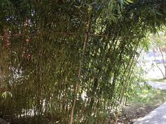 -碑林公园