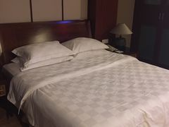 -鱼凫国都大酒店温泉