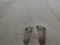 -玫瑰海岸文化旅游度假区