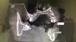 -润泽瑞尼丝医疗美容医院