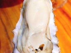 -青岛沙子口国家中心渔港