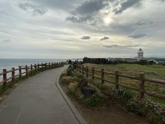 -涉地可支