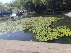 -西湖天地