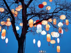 -西溪国家湿地公园