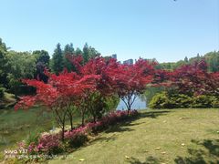 -尚贤河湿地