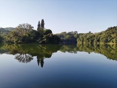 -深圳仙湖植物园