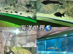 -福州罗源湾海洋世界旅游区