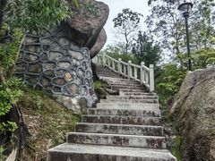-板樟山森林公园