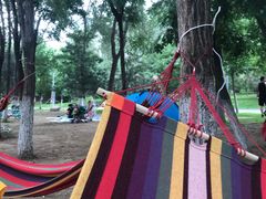 -长白岛森林公园