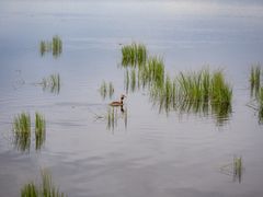 -花湖生态旅游区