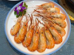 白灼罗氏虾-鲤城海鲜酒楼(晋联国际中心店)