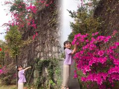 -广州神农草堂中医药博物馆