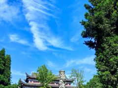 -武陵山森林公园