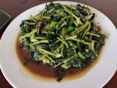 -中原农家乐(中原饭店)