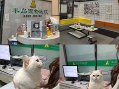 -半岛宠物医院24小时(科华中路店)