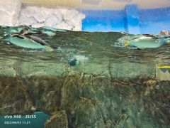 -成都浩海立方海洋公园