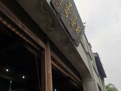 -野荸荠