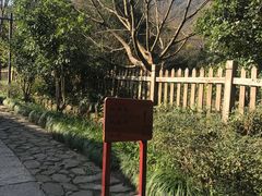 -法云安缦酒店
