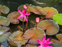 -国家植物园南园