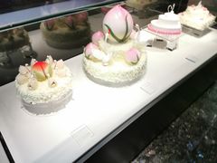 -BLACKSWAN黑天鹅(环球店)
