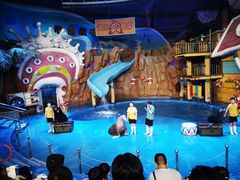 -烟台海昌鲸鲨海洋公园