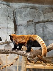 -Zoolung Zoolung动物主题公园(海信广场店)