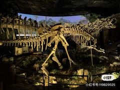 -柳州博物馆