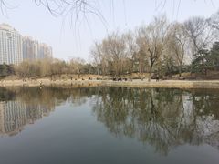 -团结湖公园
