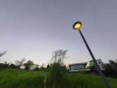 -桂溪生态公园