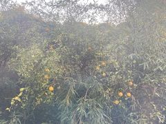 -汤山一号温泉度假区