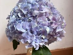 -循礼门鲜花花市(武汉循礼门店)