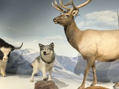 -陕西自然博物馆