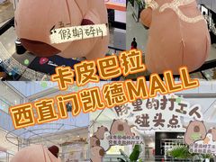 -凯德MALL(西直门店)