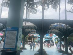 -海合安成都极地海洋公园